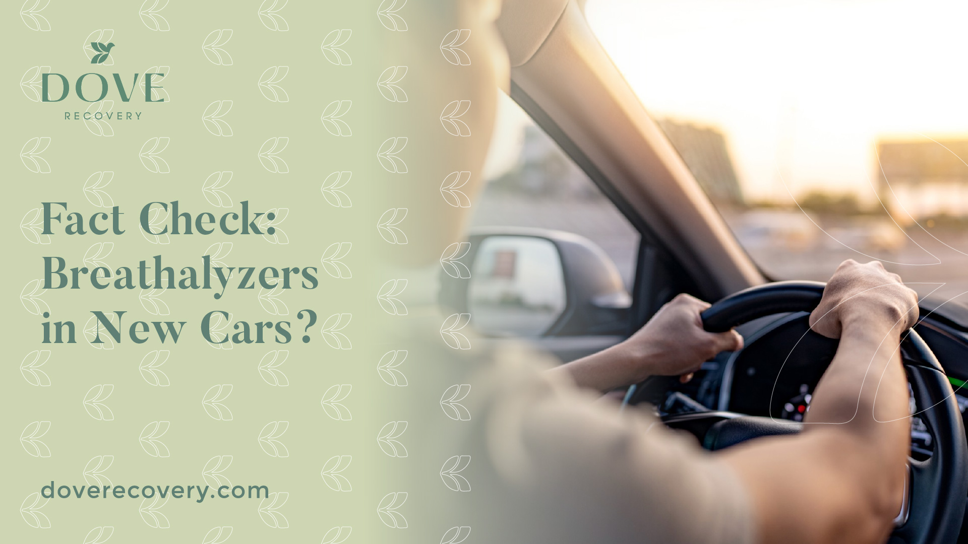 Fact Check Breathalyzers in New Cars?